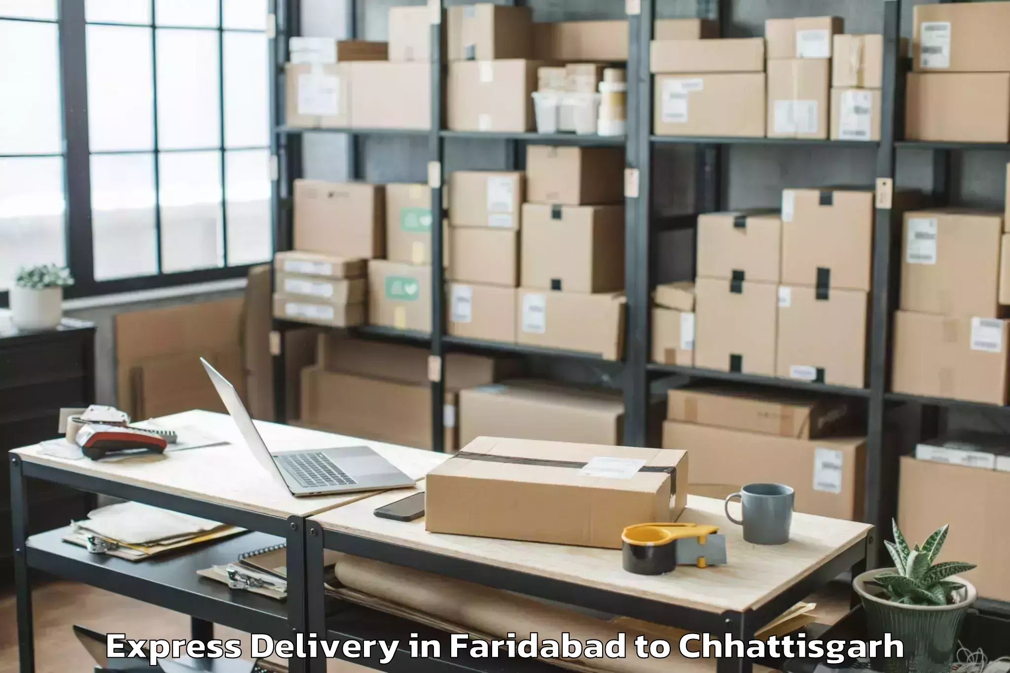 Professional Faridabad to Chhuikhadan Express Delivery